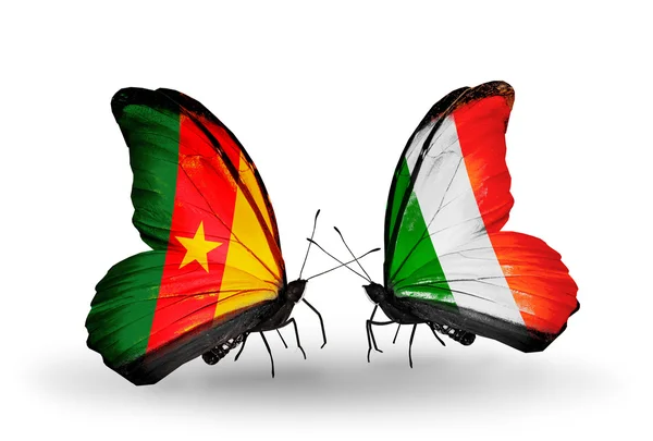 Kamerun ve İrlanda bayrağı ile kelebekler — Stok fotoğraf
