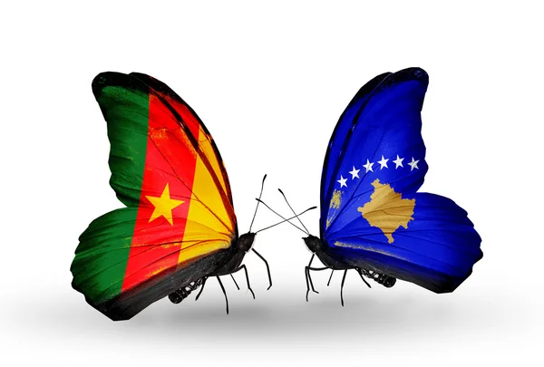 Butterflies with Cameroon and Kosovo flags — Stock Photo, Image
