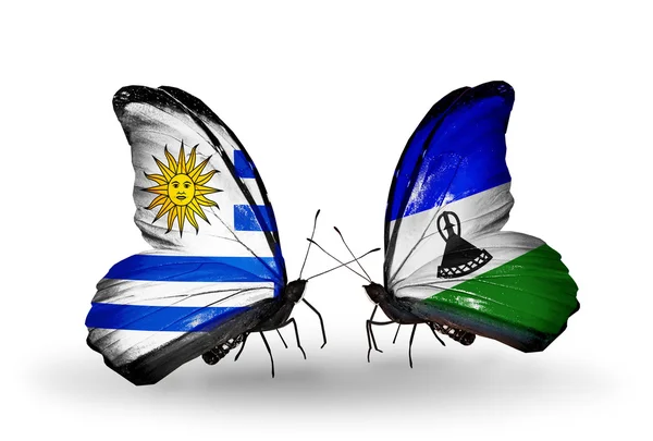 Butterflies with Uruguay and Lesotho flags — Stock Photo, Image