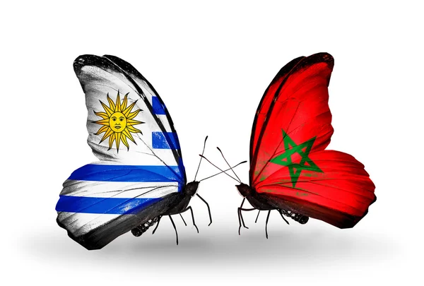 Butterflies with Uruguay and Morocco flags — Stock Photo, Image