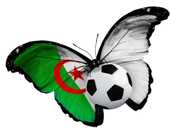 Borboleta com bandeira argelina e bola — Fotografia de Stock