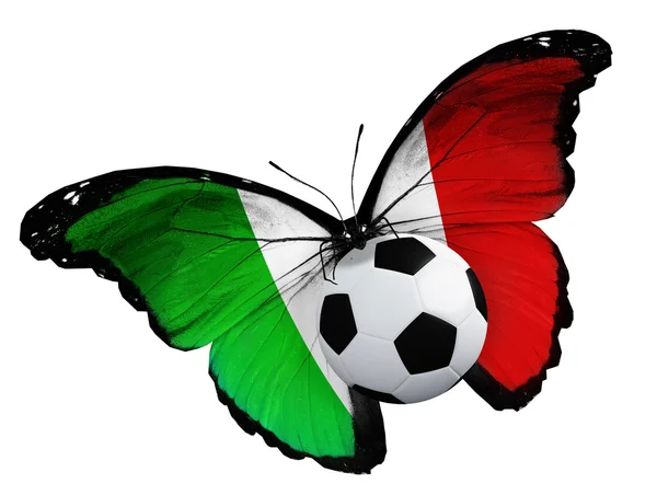 蝴蝶与意大利国旗和球 — 图库照片