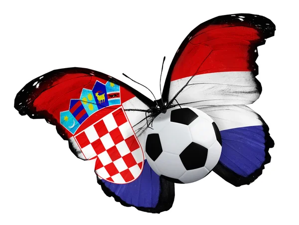Borboleta com bandeira croata e bola — Fotografia de Stock