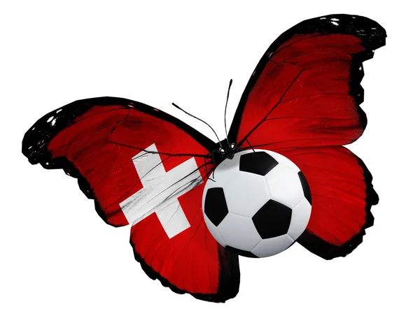 Бабочка со швейцарским флагом и мячом — стоковое фото