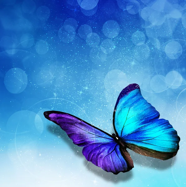 Blue background with butterfly — Stock Photo, Image