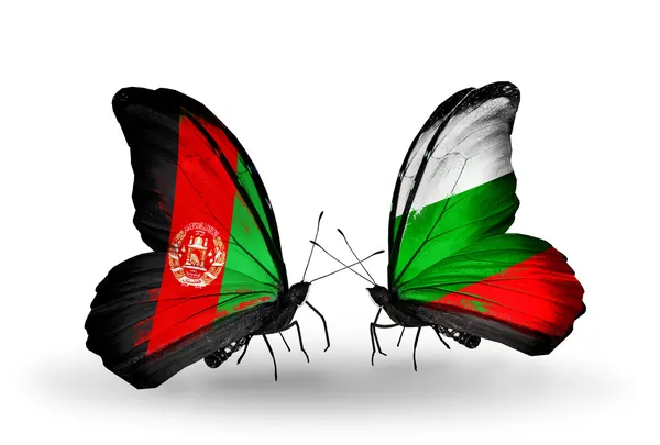 Butterflies with  Afghanistan and Bulgaria flags on wings — Stock Photo, Image