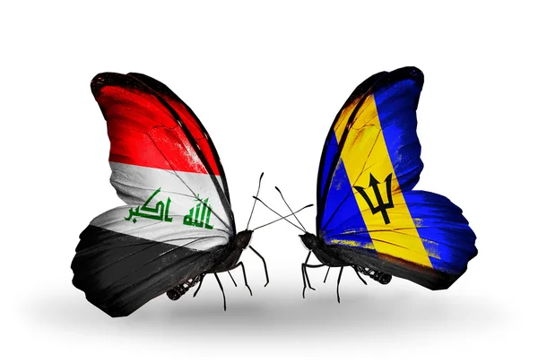 Butterflies with Iraq and  Barbados flags on wings — Stock Photo, Image