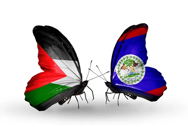 Butterflies with Palestine and Belize flags on wings — Stock Photo, Image