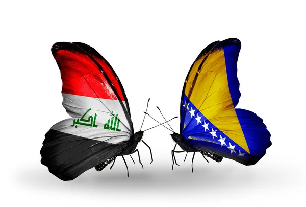 Vlinders met Irak en Bosnië en herzegovina vlaggen — Stockfoto