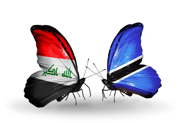 Butterflies with Iraq and  Botswana flags — Stock Photo, Image