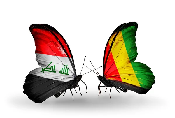 Motyle z Iraku i Gwinei flagi — Zdjęcie stockowe