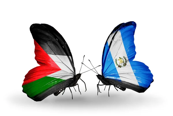 Butterflies with Palestine and Guatemala flags — Stock Photo, Image