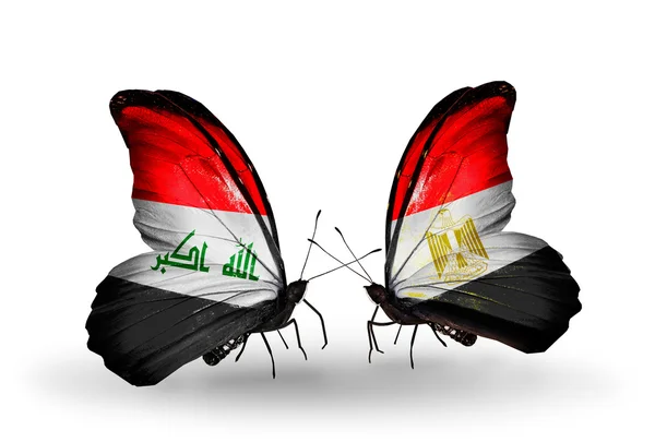 Motyle z Iraku i Egipt flagi — Zdjęcie stockowe