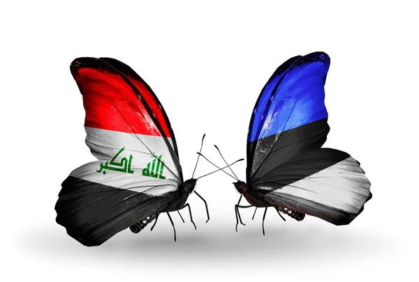 Vlinders met Irak en Estland vlaggen — Stockfoto