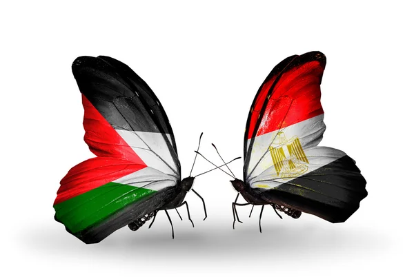 Butterflies with Palestine and Egypt flags — Stock Photo, Image