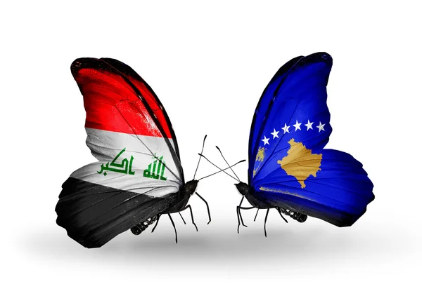 Irak ve Kosova bayrakları taşıyan kelebekler — Stok fotoğraf