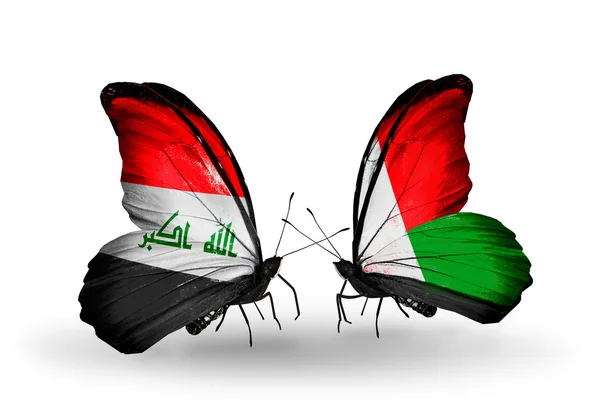 Irak és Madagaszkár zászlókkal pillangók — Stock Fotó