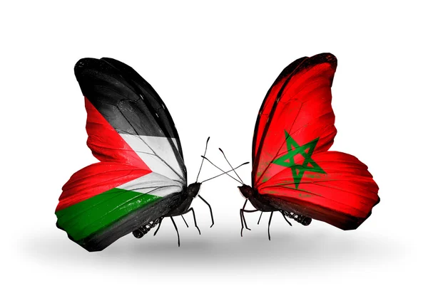 Butterflies with Palestine and Morocco flags — Stock Photo, Image