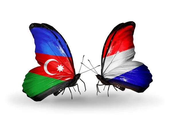 Dua kupu-kupu dengan bendera Azerbaijan dan Belanda — Stok Foto