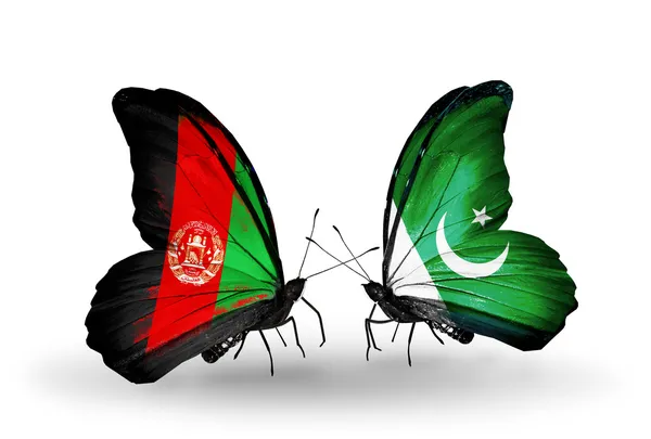 两只蝴蝶与阿富汗和巴基斯坦的国旗 — 图库照片