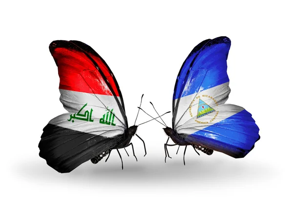 イラク、ニカラグアの国旗と 2 匹の蝶 — ストック写真