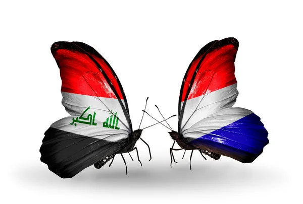 Dva motýli s vlajkami Iráku a Holandska — Stock fotografie