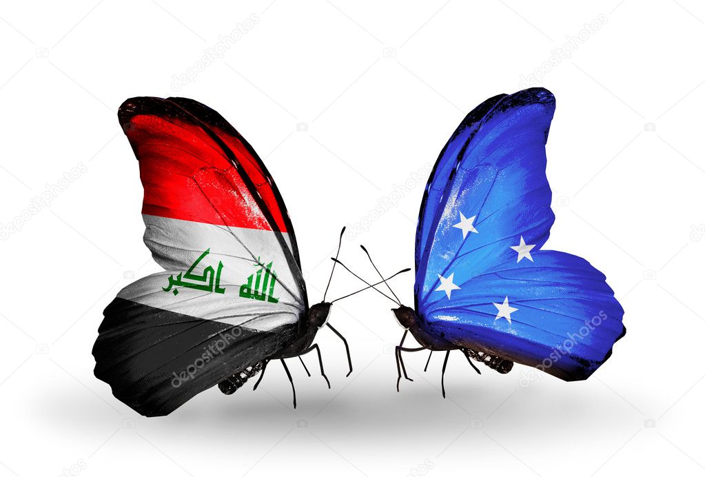 イラク ミクロネシア連邦の国旗と 2 匹の蝶 ストック写真 C Sun Tiger