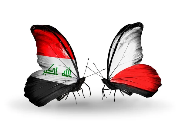 Duas borboletas com bandeiras do Iraque e da Polônia — Fotografia de Stock