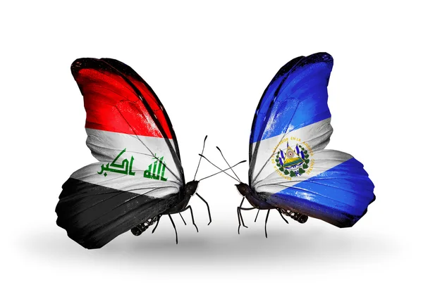 Irak ve salvador bayrakları taşıyan iki kelebek — Stok fotoğraf