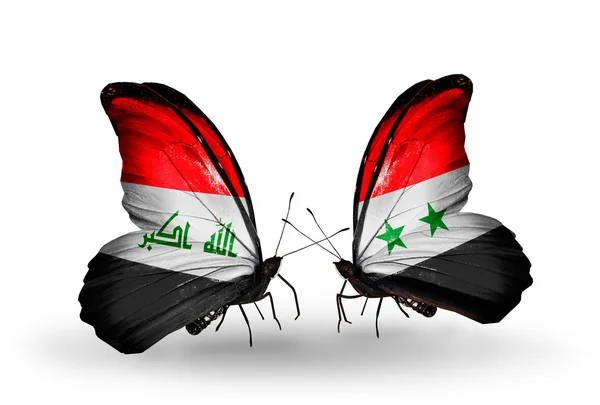 Deux papillons avec des drapeaux d'Irak et de Syrie — Photo