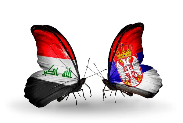 Irak ve Sırbistan bayrakları taşıyan iki kelebek — Stok fotoğraf