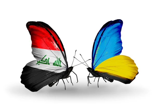 Two butterflies with flags  of  Iraq and Ukraine — Stock Photo, Image