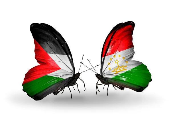Две бабочки с флагами Палестины и Таджикистана — стоковое фото