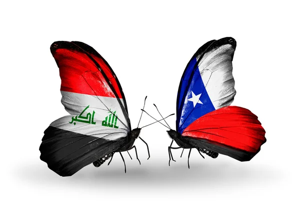 Dwa motyle z flagi z Iraku i chile — Stok fotoğraf