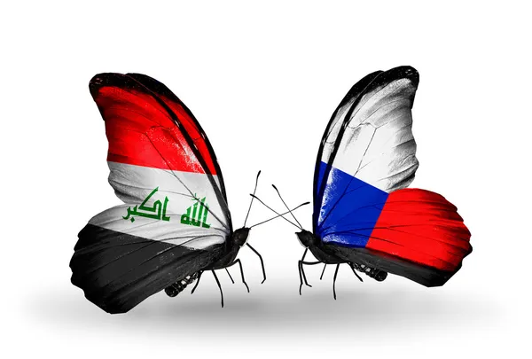 Twee vlinders met vlaggen van Irak en Tsjechische — Stockfoto