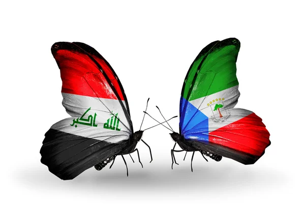 Two butterflies with flags  of  Iraq and Equatorial Guinea — Stock Photo, Image