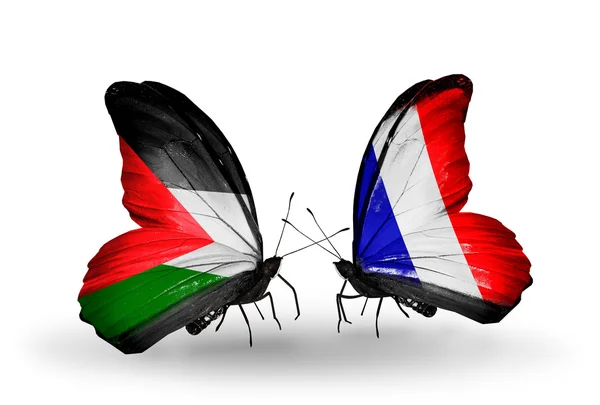 Deux papillons avec des drapeaux de Palestine et de France — Photo