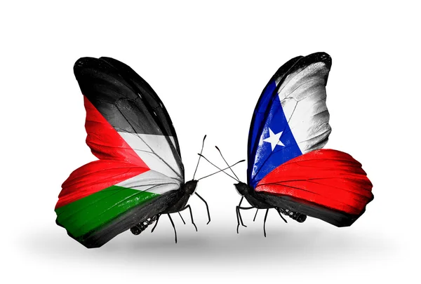 Deux papillons avec des drapeaux de Palestine et du Chili — Photo