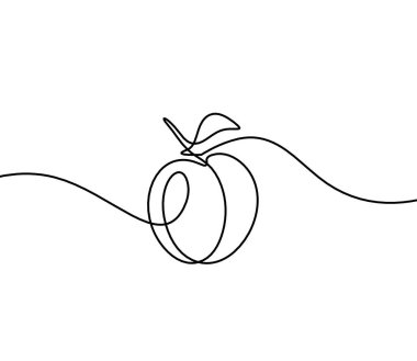 Beyaz arkaplanda kayısı (şeftali, nektarin, erik) çizimi