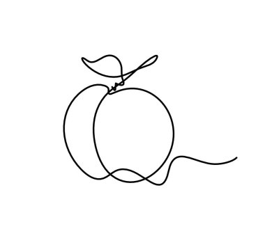 Beyaz arkaplanda kayısı (şeftali, nektarin, erik) çizimi