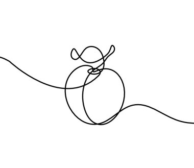 Beyaz arkaplanda kayısı (şeftali, nektarin, erik) çizimi