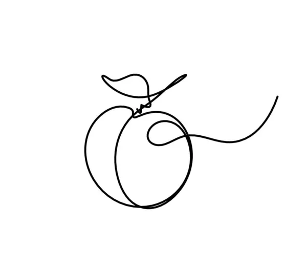 Ligne Dessin Abricot Pêche Nectarine Prune Sur Fond Blanc — Image vectorielle