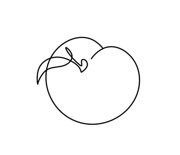 Ligne Dessin Abricot Pêche Nectarine Prune Sur Fond Blanc — Image vectorielle