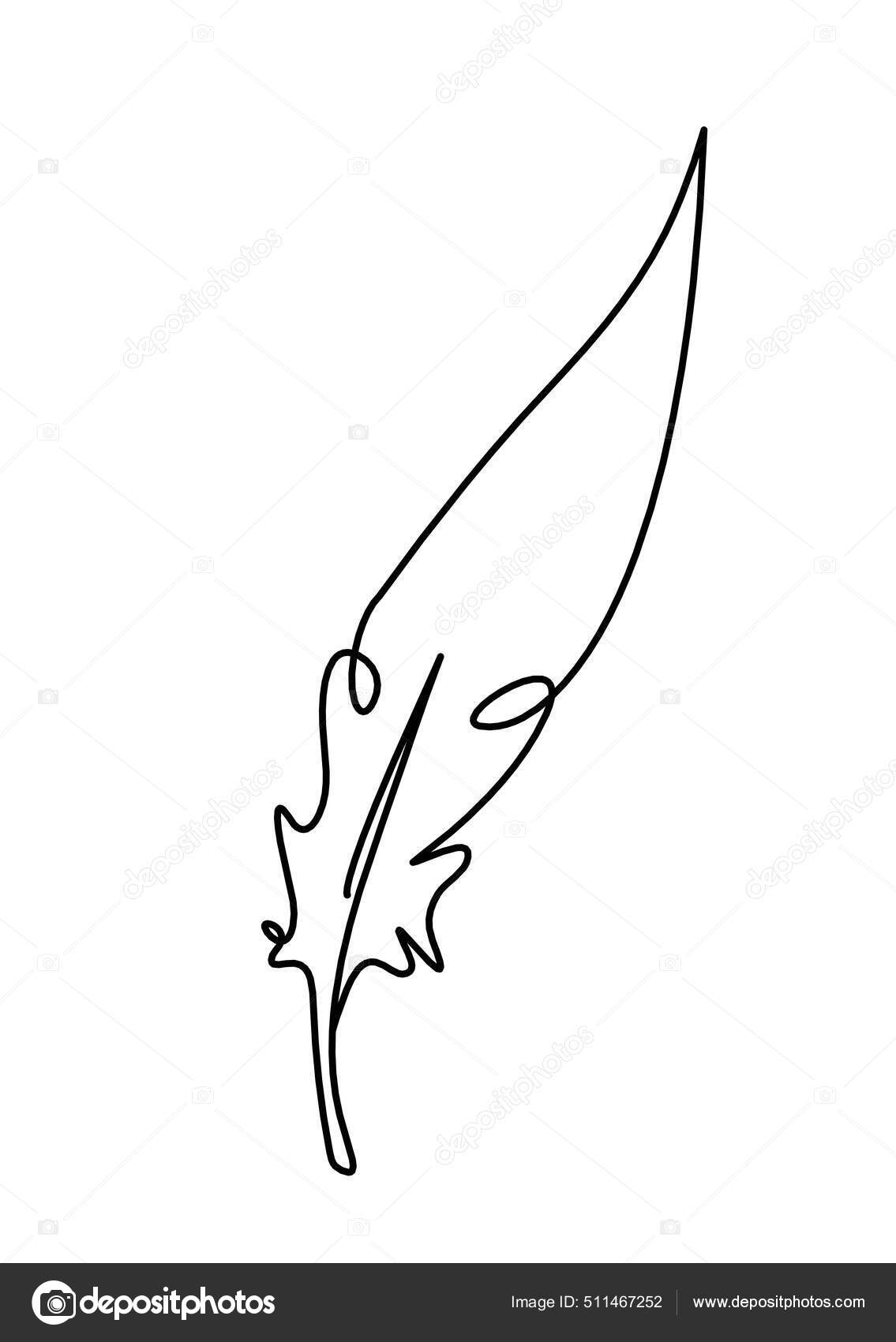 Abstract Feather Drawing