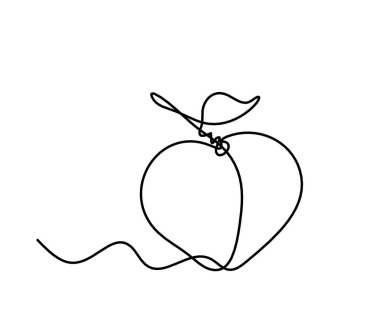 Beyaz arkaplanda kayısı (şeftali, nektarin, erik) çizimi