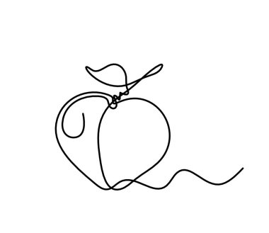 Beyaz arkaplanda kayısı (şeftali, nektarin, erik) çizimi