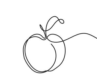 Beyaz arkaplanda kayısı (şeftali, nektarin, erik) çizimi