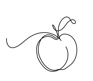 Beyaz arkaplanda kayısı (şeftali, nektarin, erik) çizimi