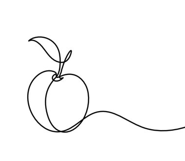 Beyaz arkaplanda kayısı (şeftali, nektarin, erik) çizimi