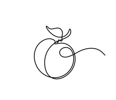 Beyaz arkaplanda kayısı (şeftali, nektarin, erik) çizimi